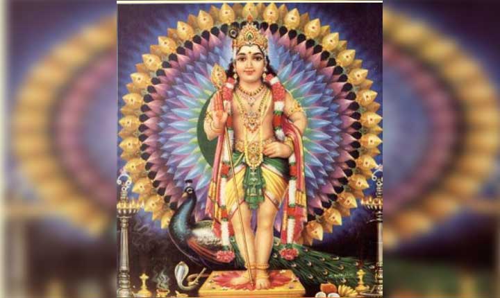 Aadi Krittika Festival 2026 Celebrations Schedule And Sponsorship Details For Lord Muruga 