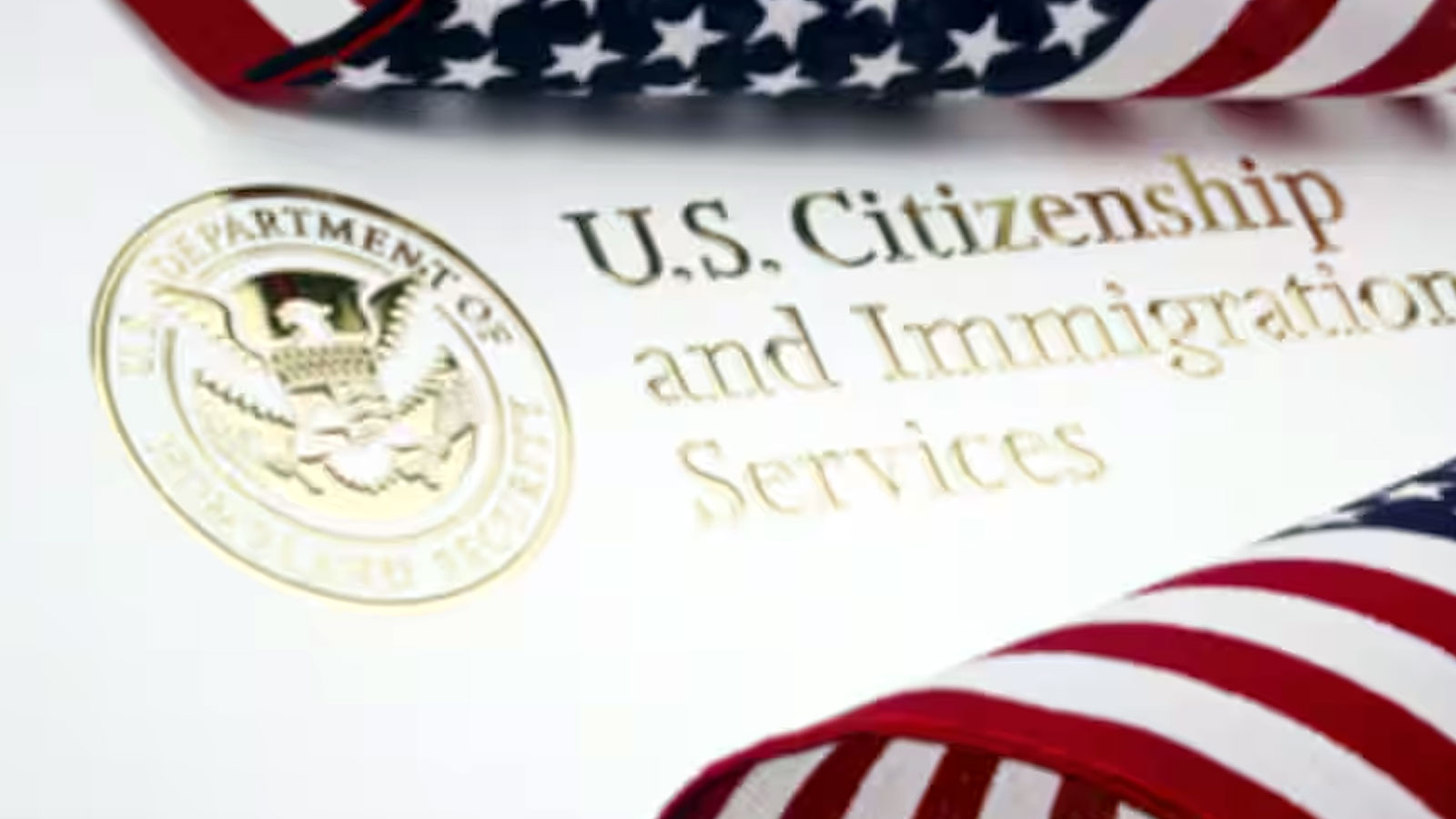 U S Department Of Homeland Security Considers Proposal To Reverse H 4 Ead Policy 