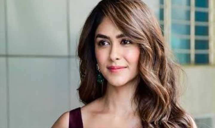 Mrunal Thakur Issues Firm Warning Against Deepfake Misuse And Legal Consequences 