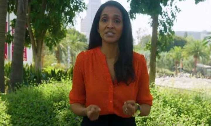 La Councilmember Nithya Raman Removed As Committee Chair 