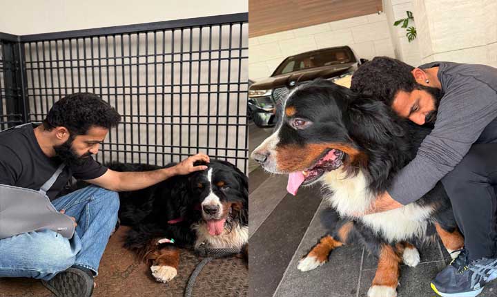 Junior Ntrs Family In Mourning As Beloved Pet Dog Bagheera Passes Away 