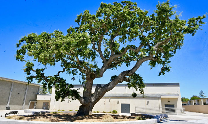 Local Community Updates Storage Needs For Charities Candidate Inquiries Youth Music Programs And High School Reunions 