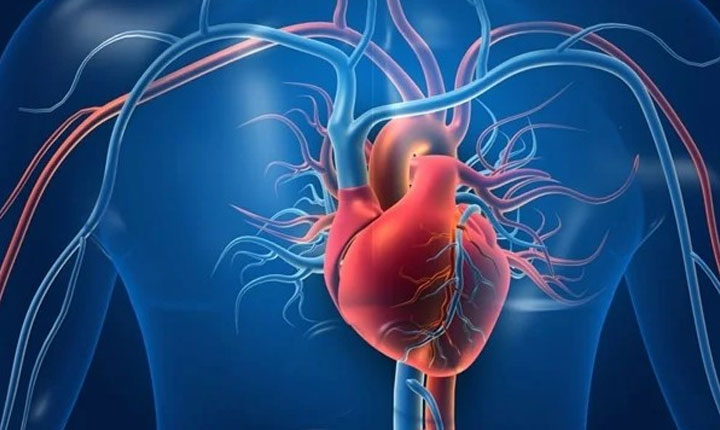 Bipartisan Lawmakers Reintroduce Legislation To Address South Asian Heart Health Disparities 