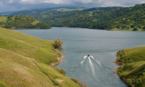 Invasive Golden Mussels Discovered at Lake Del Valle Prompting Strict Boating Quarantines